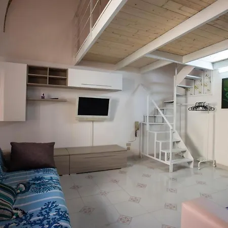 4 Sister Open Space In
